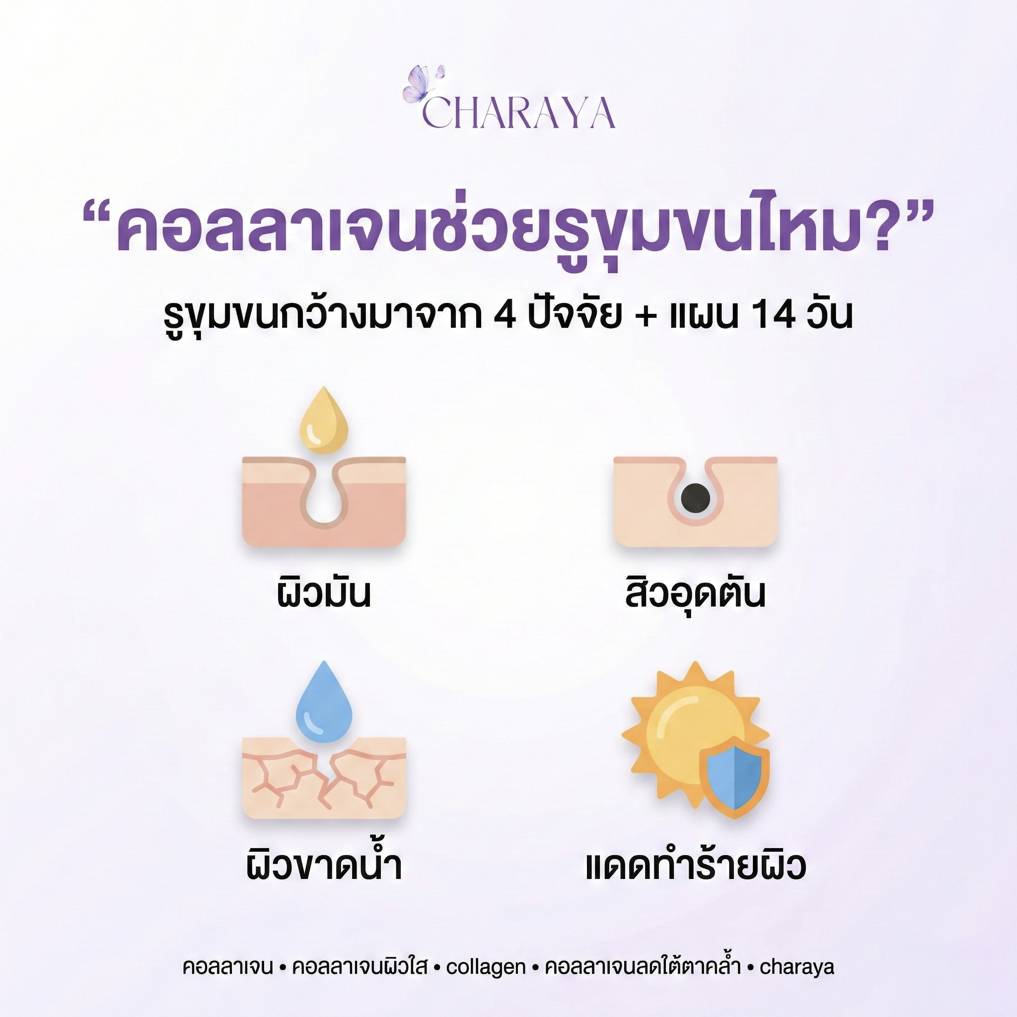 คอลลาเจน, collagen, คอลลาเจนผิวใส, รูขุมขน, รูขุมขนกว้าง, ผิวมัน, สิวอุดตัน, ผิวขาดน้ำ, วิธีดูแลผิว, สกินแคร์รูทีน, ผิวเรียบเนียน, charaya