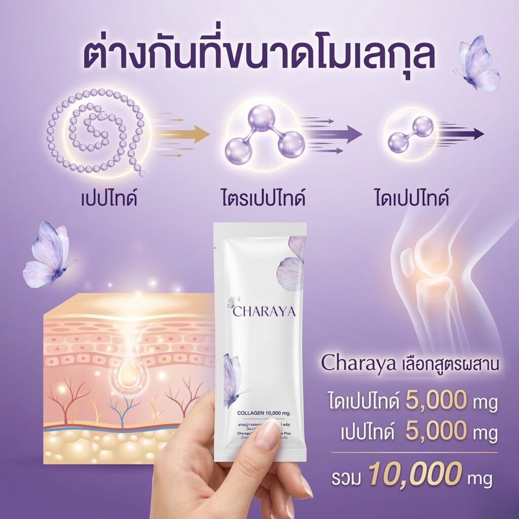 คอลลาเจน เปปไทด์ ไดเปปไทด์ ไตรเปปไทด์ ต่างกันอย่างไร, คอลลาเจน ไดเปปไทด์ 5000 mg, คอลลาเจน เปปไทด์ 5000 mg, ชาเรญ่า คอลลาเจน, คอลลาเจนผิวใส, Charaya Collagen Dipeptide Plus, ขนาดโมเลกุลคอลลาเจน, รีวิวคอลลาเจน 2026, บำรุงข้อต่อเบื้องต้น, อาหารเสริมผิวพรรณ